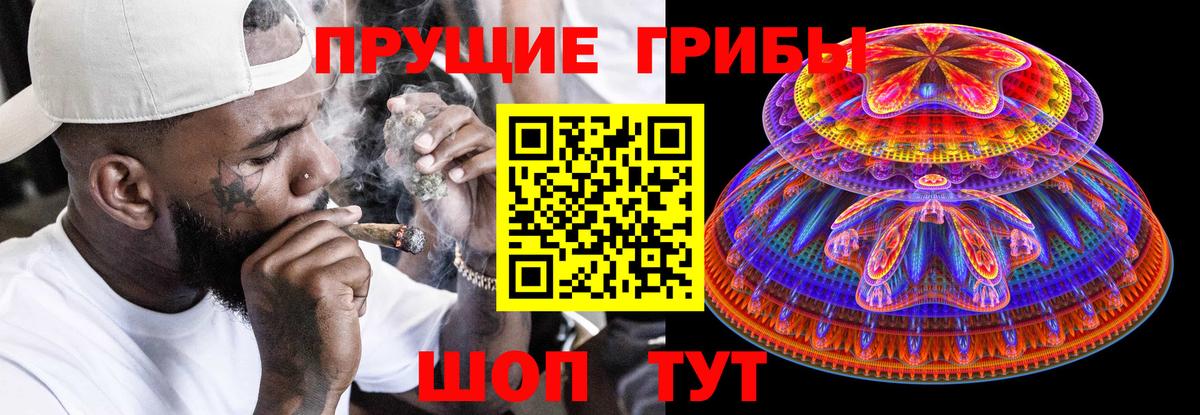 Галлюциногенные грибы GOLDEN TEACHER Осинники