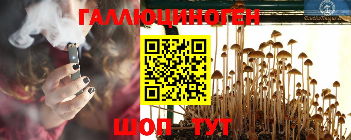 Псилоцибиновые грибы мухоморы  Вход с VPN  как найти закладки  Осинники 